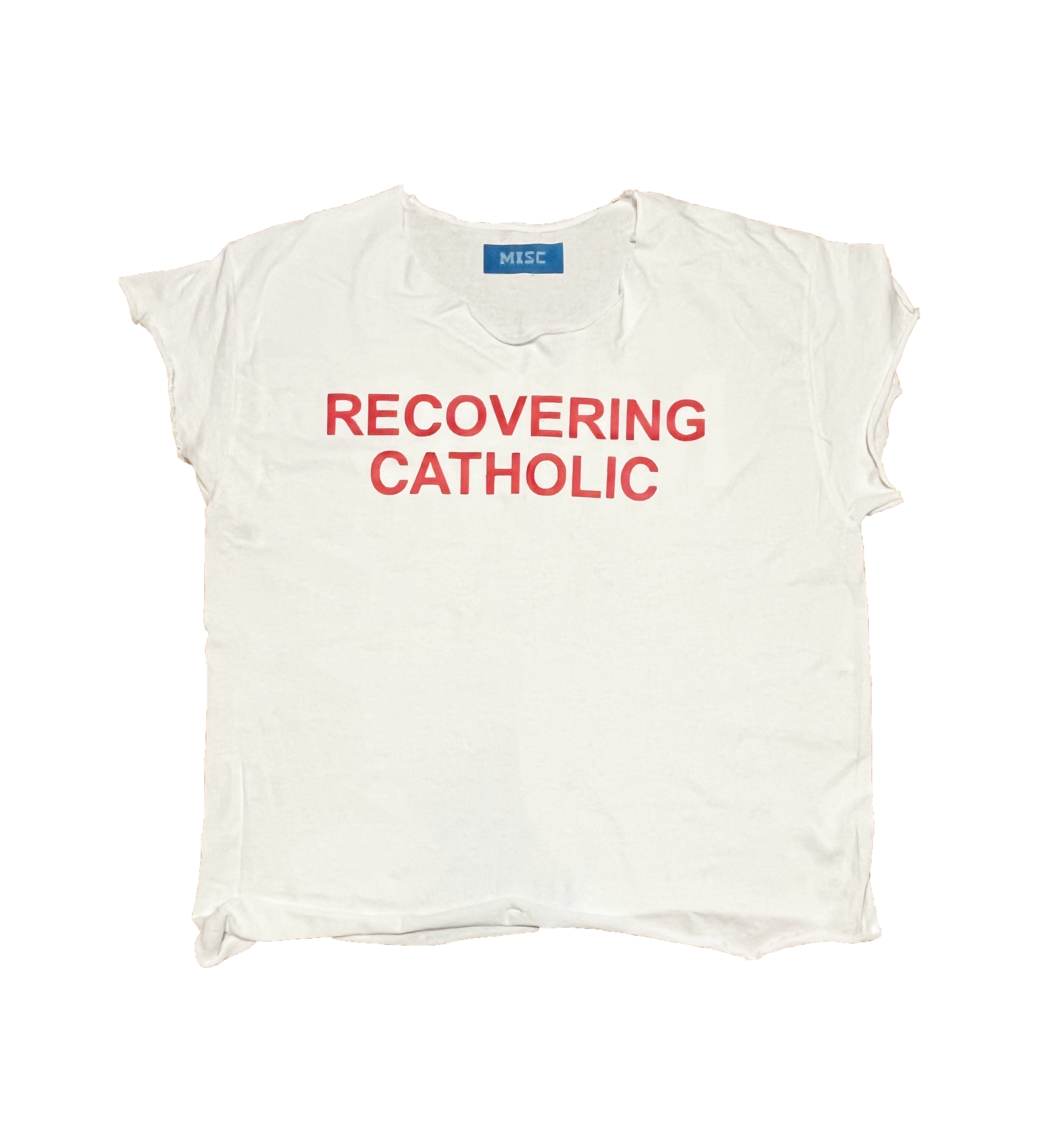 RECOVERING CATHOLIC, image size:3024x3313